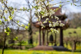 Bạo lực: Nan đề chưa có lời giải