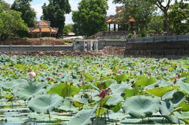 Bản lĩnh trí thức Việt Nam đối với triều đình Trung Quốc trước và sau công nguyên qua sử liệu