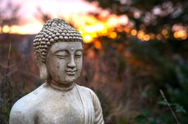 Hạnh phúc lâu dài bắt nguồn từ hành trình nội tâm 