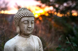 Hạnh phúc lâu dài bắt nguồn từ hành trình nội tâm 