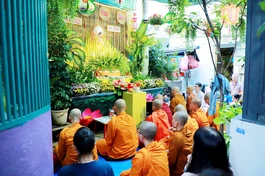 Lễ đài tư gia Phật tử tại hẻm 113 đường Trần Văn Đang, TP.HCM