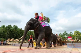 Đoàn voi cung rước tôn tượng Đức Phật đản sinh tại H.Lắk