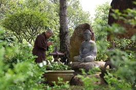 Ảnh: Quảng Đạo