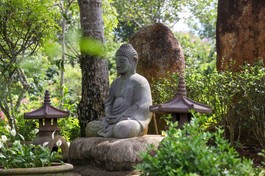 "Pháp chúng học không chỉ là khung kỷ luật nội bộ mà còn là biểu hiện sống động của văn hóa Tăng đoàn trong từng thời đại và truyền thống" - Ảnh: Quảng Đạo/BGN