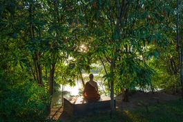 "Người sống mà không vui thích, không yêu mến, không tham ái, không chướng ngăn thì đó gọi là sống một mình"