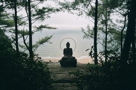 “Việc gì nhìn thấy mà vẫn chưa cho là đúng, nghe mà còn chưa cho là thật, bị che lấp ứ đọng, vùng vằng chống chọi mà không thoát ra được, đó là người không biết đạo vậy. Người biết đạo thì thông, thông thì soi suốt, soi suốt được thì sống"