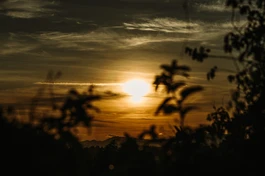 "Có bốn loại thức ăn giúp ích cho chúng sanh, khiến cho chúng sanh được tồn tại, được bảo hộ và nuôi lớn" - Ảnh: Phùng Anh Quốc