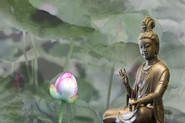  "Tâm từ bi kết hợp với trí tuệ là nền tảng của sự chữa lành cảm xúc"