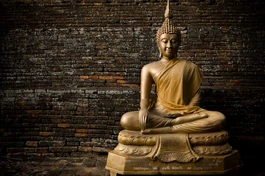 "Giới luật là thiện pháp, là phép tắc, là điều học mà các Tỳ-kheo, Tỳ-kheo-ni phải thực hành để cho Phật pháp thường còn và hưng thịnh"