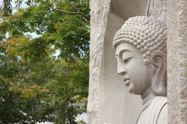 "Một là khéo biết bệnh; hai là khéo biết căn nguyên của bệnh; ba là khéo biết cách chữa trị bệnh; bốn là khéo biết trị lành bệnh để về sau bệnh không còn tái phát nữa"