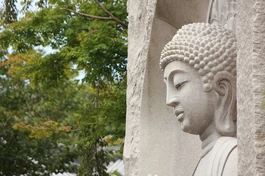 "Một là khéo biết bệnh; hai là khéo biết căn nguyên của bệnh; ba là khéo biết cách chữa trị bệnh; bốn là khéo biết trị lành bệnh để về sau bệnh không còn tái phát nữa"