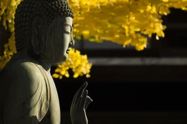 Vô nhân tâm không chỉ là phạm trù tâm lý học, mà còn là chìa khóa mở cánh cửa đạo đức Phật giáo: đạo đức của tự chủ và của chánh niệm