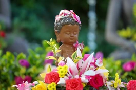 "Chúng ta nhận ra rằng nỗi khổ từ hành động không chỉ dừng lại ở bản thân mình. Nó cũng khiến ta trở thành gánh nặng cho người. Đây là lý do tại sao việc thực hành Pháp là một món quà, cho cả bản thân và người khác"