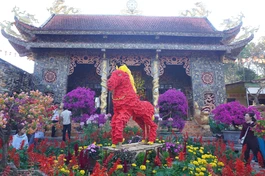 Rực rỡ sắc xuân tại ngôi chùa ở Tây Nguyên