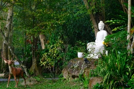 Kinh Nhất dạ hiền giả không chỉ nêu lên vấn đề, mà còn chỉ rõ phương pháp thực tiễn để an trú hiện tại. Tinh thần ấy được diễn đạt qua ba yếu tố chánh niệm, tỉnh giác, và tuệ quán - Ảnh: Huyền Không Sơn Thượng