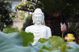 Ảnh: Nguyên Tài/BGN