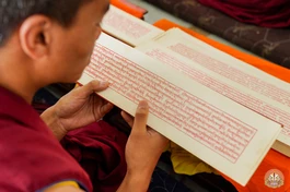 Kinh Pháp hoa giữ một vị trí quan trọng trong lịch sử và văn hóa Phật giáo Tây Tạng. Được dịch chính thức vào thời kỳ Tây tạng đế quốc, kinh Pháp hoa đã được sao chép và tôn kính như một phần của tạng Kanjur, tạng kinh bằng Tạng ngữ