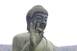 “Này các Tỳ-kheo, khi nào các Tỳ-kheo sống cung kính đối với Pháp, kính trọng Pháp, an trú nương tựa nơi Pháp. Này các Tỳ-kheo, lúc đó Chánh pháp sẽ được tồn tại lâu dài”