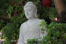 Ảnh: Trung Thắng