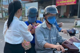 Hoa hồng Vu lan chùa Phổ Thiện 