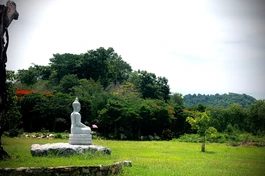 Ảnh: Làng Mai