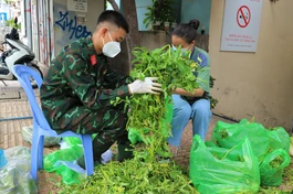 Hình ảnh bộ đội giúp dân được lan tỏa khắp ngõ hẻm trong những ngày TP.HCM giãn cách - Ảnh: Khánh Vi