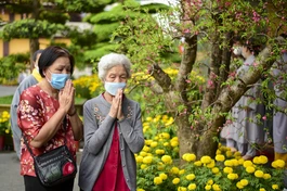 Pháp hội Dược Sư: Nơi nhiều tâm nguyện được hướng về, gửi gắm