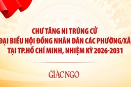 Thiết kế: Hạnh Đăng/BGN