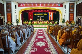 Quang cảnh phiên họp trù bị Đại hội đại biểu Phật giáo tỉnh Ninh Bình lần thứ I, nhiệm kỳ 2026-2031 - Ảnh: Diệu Tường