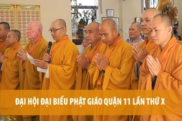 [Video] Đại hội đại biểu Phật giáo quận 11 lần thứ X, suy cử Ban Trị sự mới