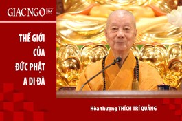 [TRỰC TUYẾN] Trưởng lão Hòa thượng Thích Trí Quảng thuyết giảng: "Thế giới của Đức Phật A Di Đà"