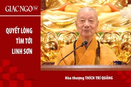 [TRỰC TUYẾN] Trưởng lão Hòa thượng Thích Trí Quảng thuyết giảng: "Quyết lòng tìm tới Linh Sơn"