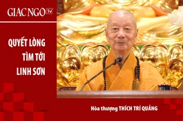 [TRỰC TUYẾN] Trưởng lão Hòa thượng Thích Trí Quảng thuyết giảng: "Quyết lòng tìm tới Linh Sơn"