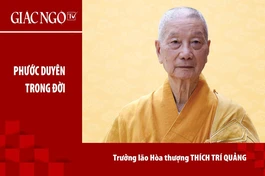 [VIDEO] Trưởng lão Hòa thượng Thích Trí Quảng thuyết giảng