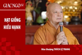 [TRỰC TUYẾN] Hoà thượng Thích Lệ Trang thuyết giảng: "Hạt giống hiếu hạnh"