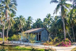 Quê nhà vào xuân