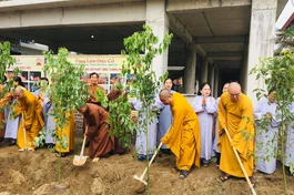 Chư Tăng trồng cây tại chùa Diệc (TP.Vinh, tỉnh Nghệ An)