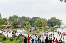 Hàng vạn người viếng chùa Tam Chúc ngày 14-3