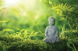 Đừng kẹt Tích môn