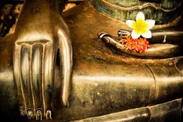 Có Phật trong đời