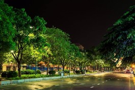 Một góc Sài Gòn yên ắng, tĩnh mịch trong những ngày giãn cách - Ảnh: Lý Võ Phú Hưng