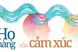 Họ hàng của cảm xúc