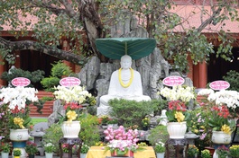 Lễ Phật thành đạo tại chùa Thiên Quang