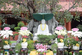 Lễ Phật thành đạo tại chùa Thiên Quang