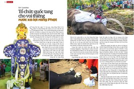 Bài trên Báo Giác Ngộ số 1143 - Thiết kế: Phòng Mỹ thuật BGN/Tống Viết Diễn