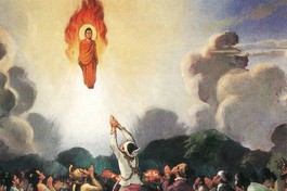 Ảnh tư liệu: Nguyễn Cường