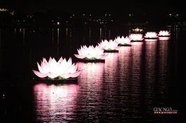 7 đóa hoa sen được thắp sáng trên sông Hương cố đô Huế
