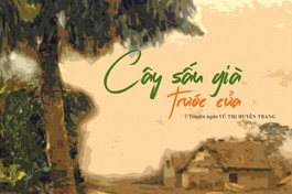 Cây sấu già trước cửa