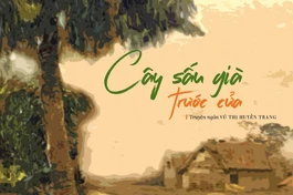 Cây sấu già trước cửa