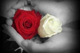 Bến bờ yêu thương